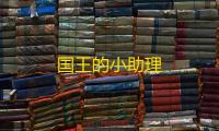 国王的小助理